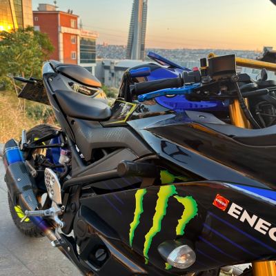 R25 KORUMA DEMİRİ